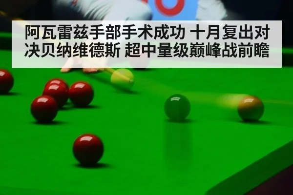 阿瓦雷兹手部手术成功 十月复出对决贝纳维德斯 超中量级巅峰战前瞻